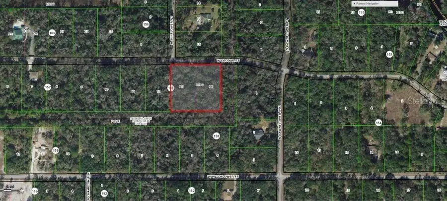 11924 W Deodar Street, Crystal River, FL 34428 - #2