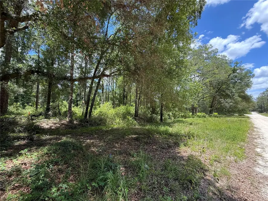 Sw 53rd Pl, Ocala, FL 34481 - #3