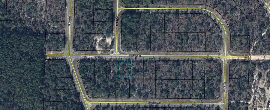Lot 4 Unit 5 Blk 318 Norvell Street, Chipley, FL 32428 - #2