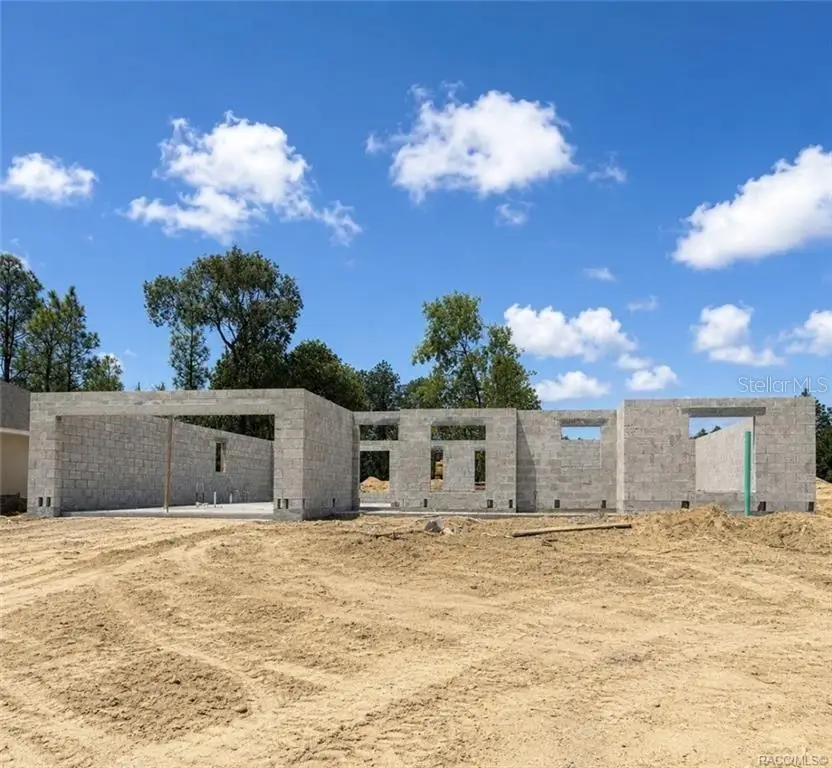 699 W Hallam, Dunnellon, FL 34434 - #2