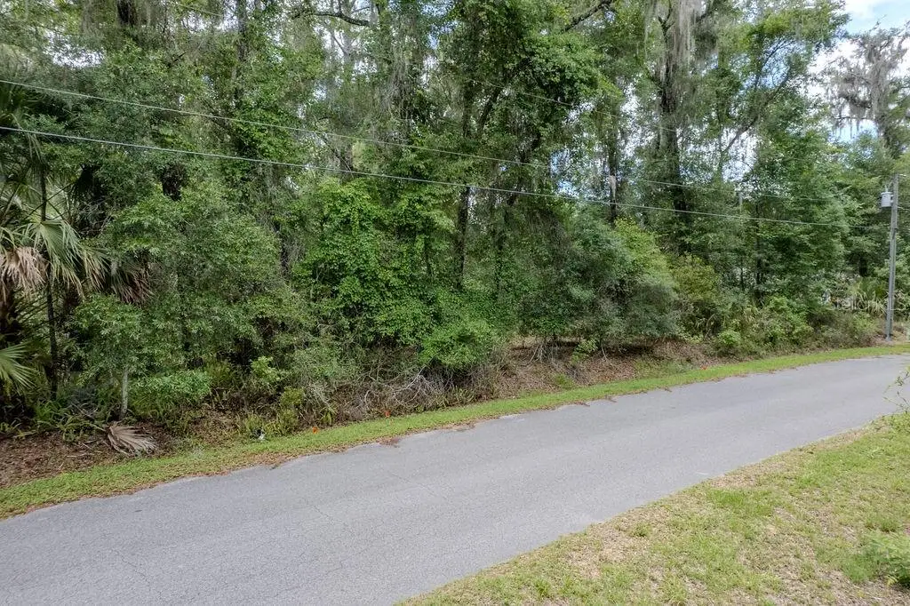 Lot 6 SW 186 Circle, Dunnellon, FL 34432 - #1