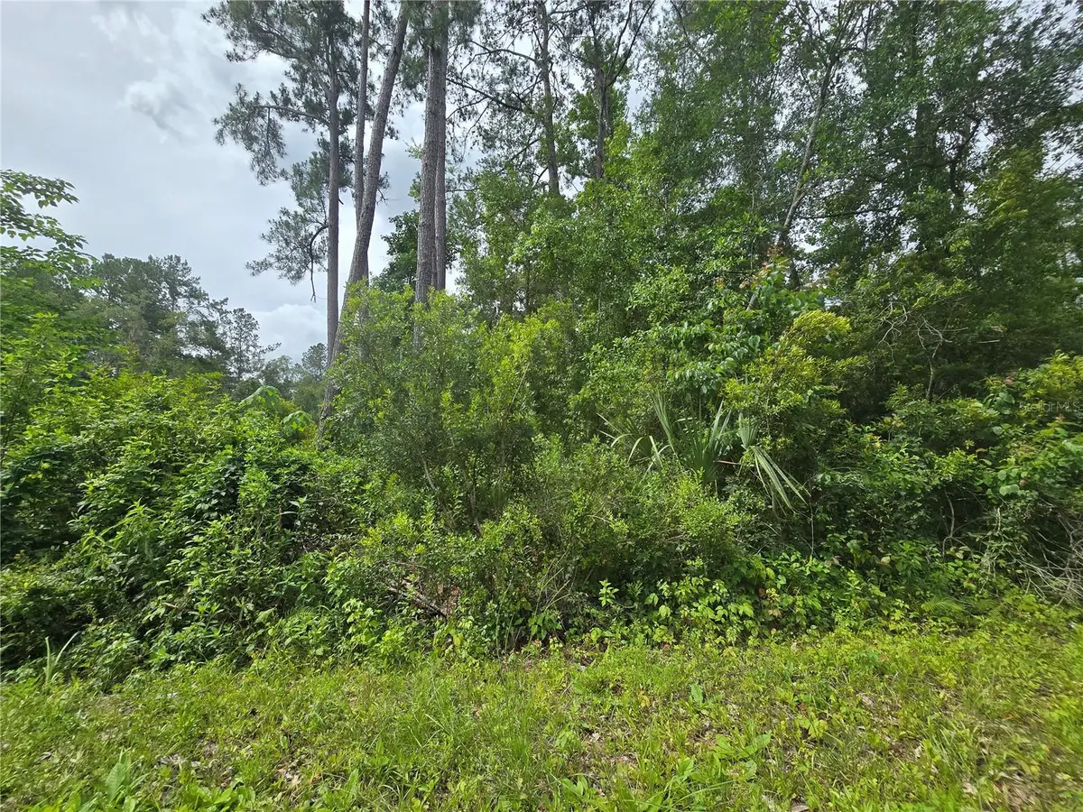 320 Sequoia Drive, Ocala, FL 34472 - #1