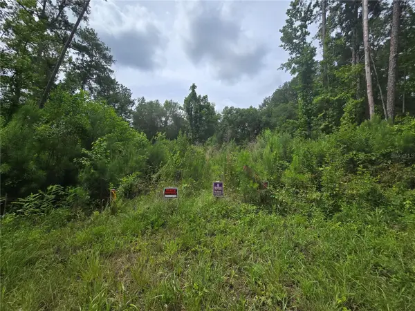 316 Sequoia Drive, OCKLAWAHA, FL 32179