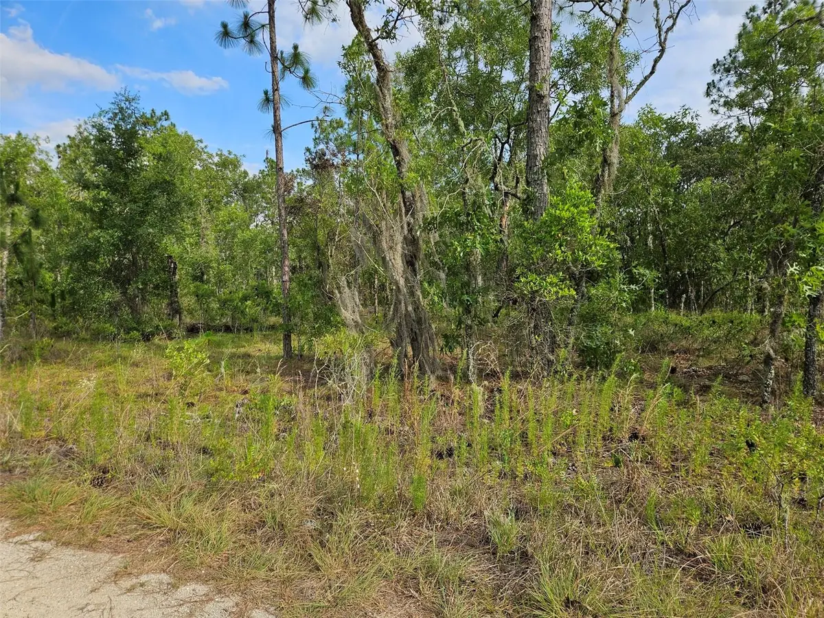 tbd NE 12th Lane, Williston, FL 32696 - #1
