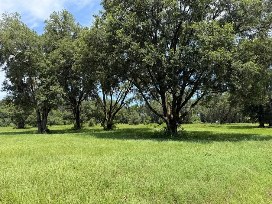 12870 NW 28th Avenue, Reddick, FL 32686 - #3