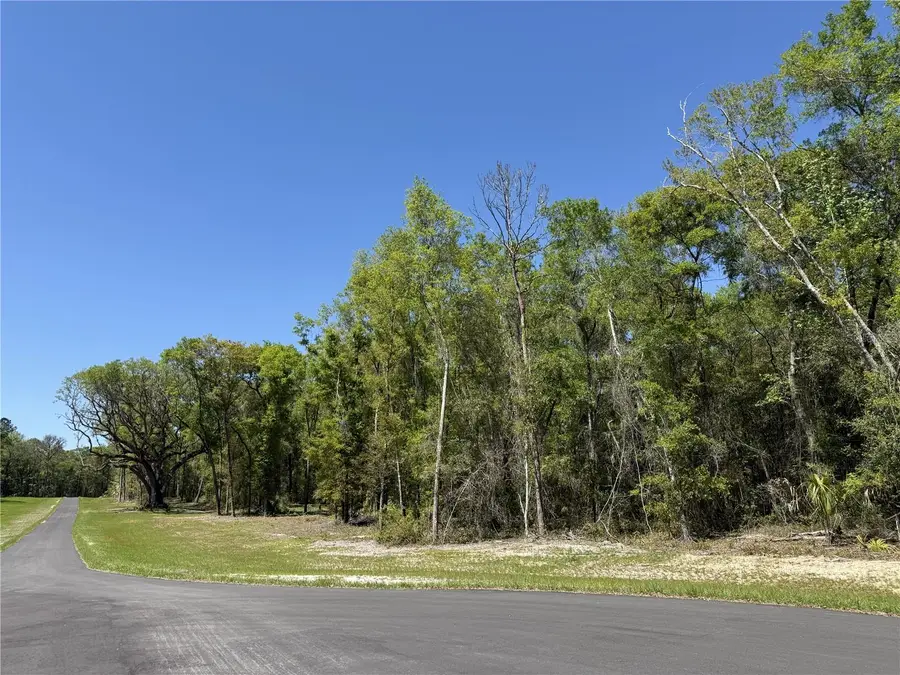 Irvine Acres #5 (13ac) W Hwy 318, Reddick, FL 32686 - #2