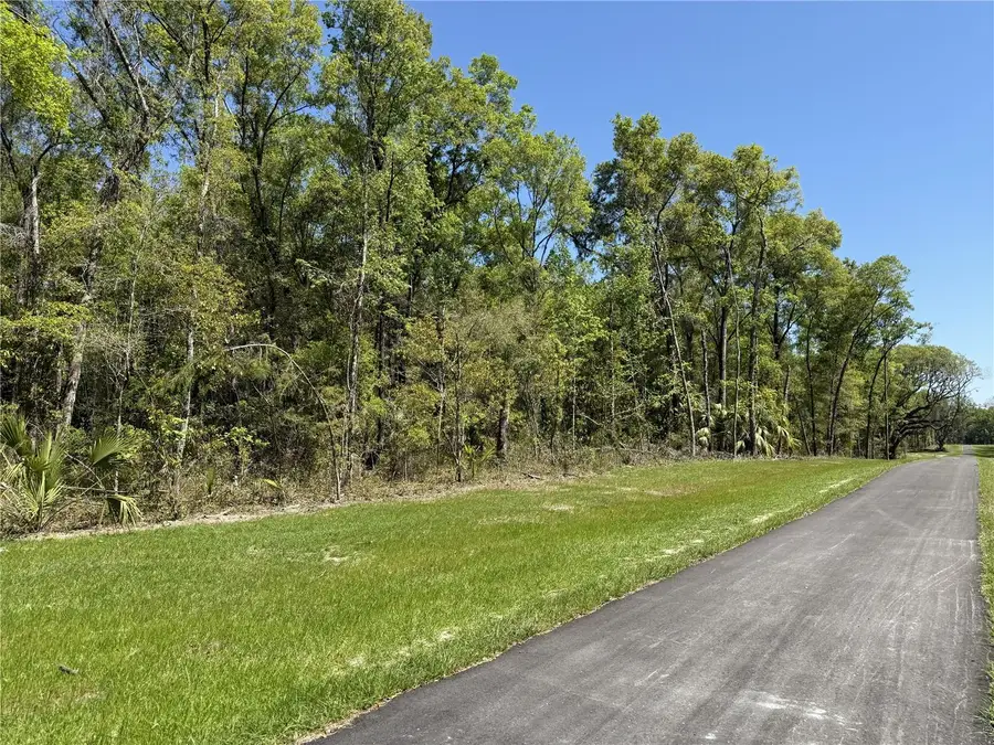 Irvine Acres #5 (13ac) W Hwy 318, Reddick, FL 32686 - #3