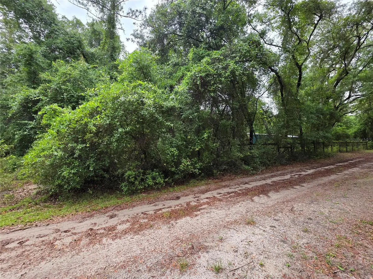 000 NE 138th Terrace, Fort McCoy Anthony, FL 32134 - #1