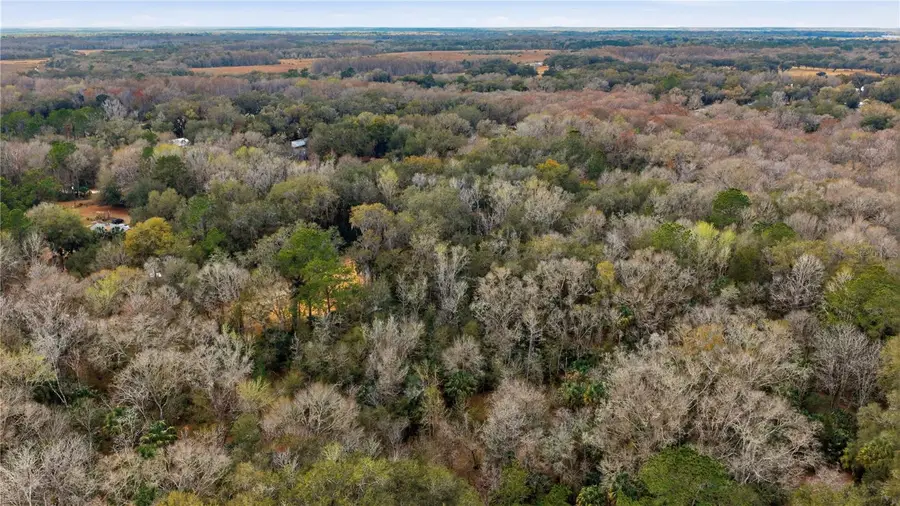 598 S Chambers Way, Inverness, FL 34450 - #3