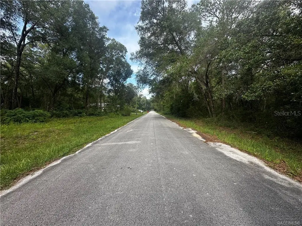 3698 E Johnson Place, Inverness, FL 34453 - #1
