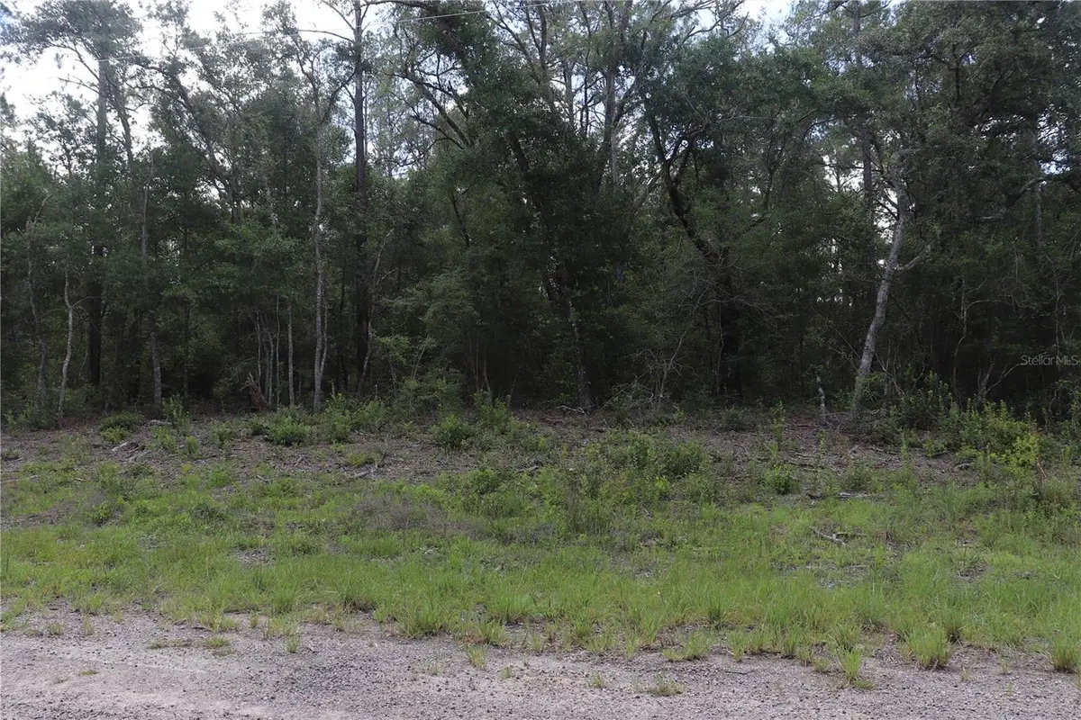 653 Vercelli Lane, Dunnellon, FL 34434 - #1