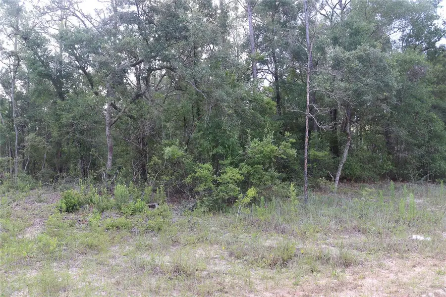 653 Vercelli Lane, Dunnellon, FL 34434 - #2