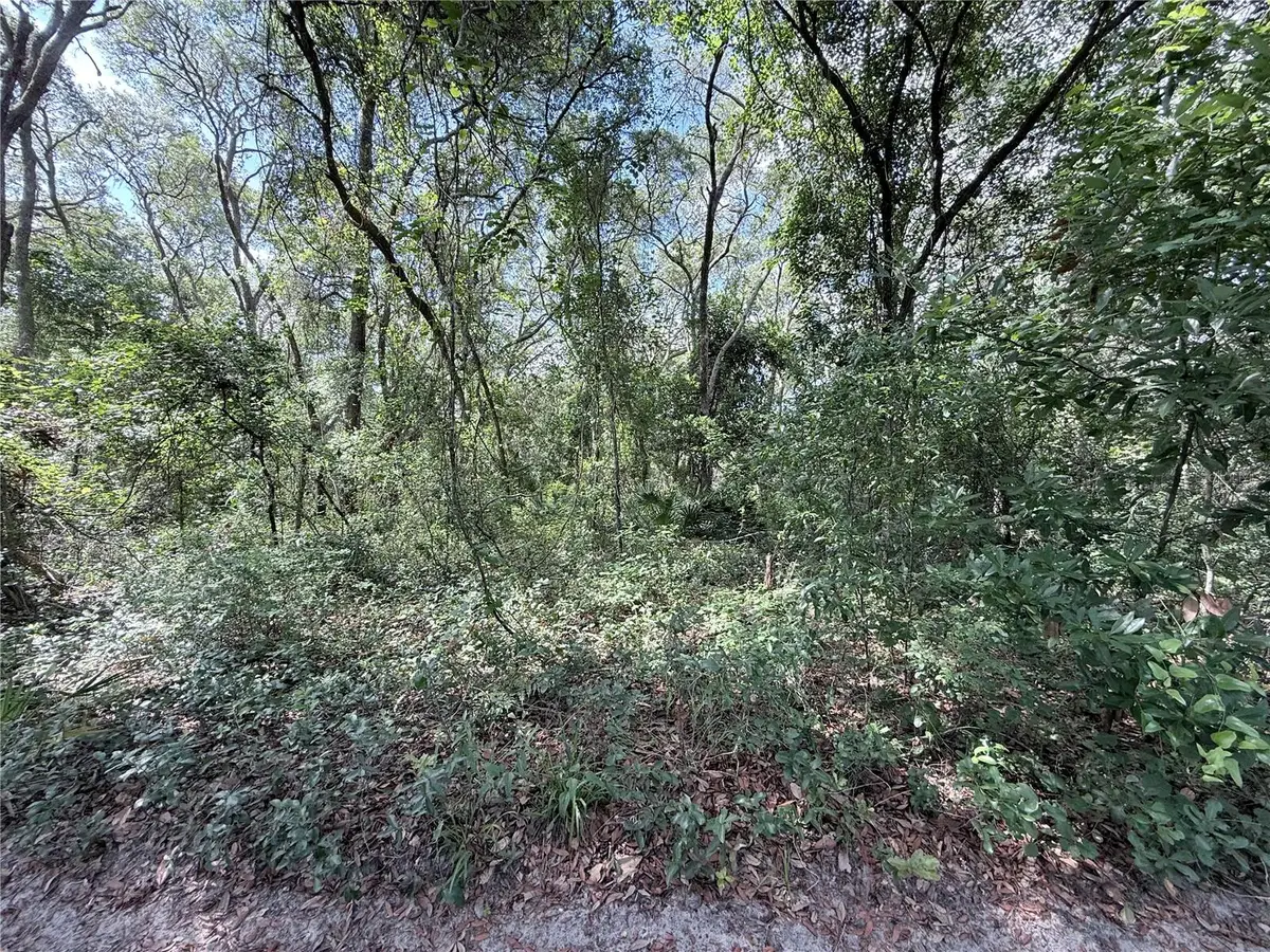 TBD SW 150th Street, Dunnellon, FL 34432 - #1