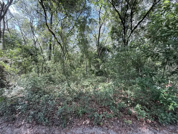 TBD SW 150th Street, DUNNELLON, FL 34432
