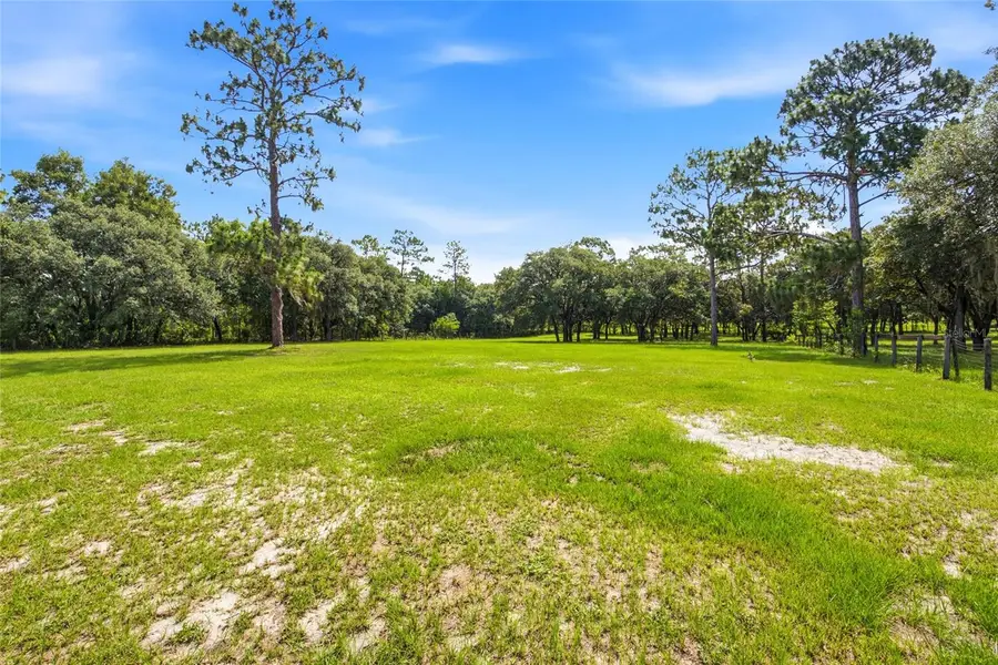 7391 SE 117th Terrace, Morriston, FL 32668 - #2