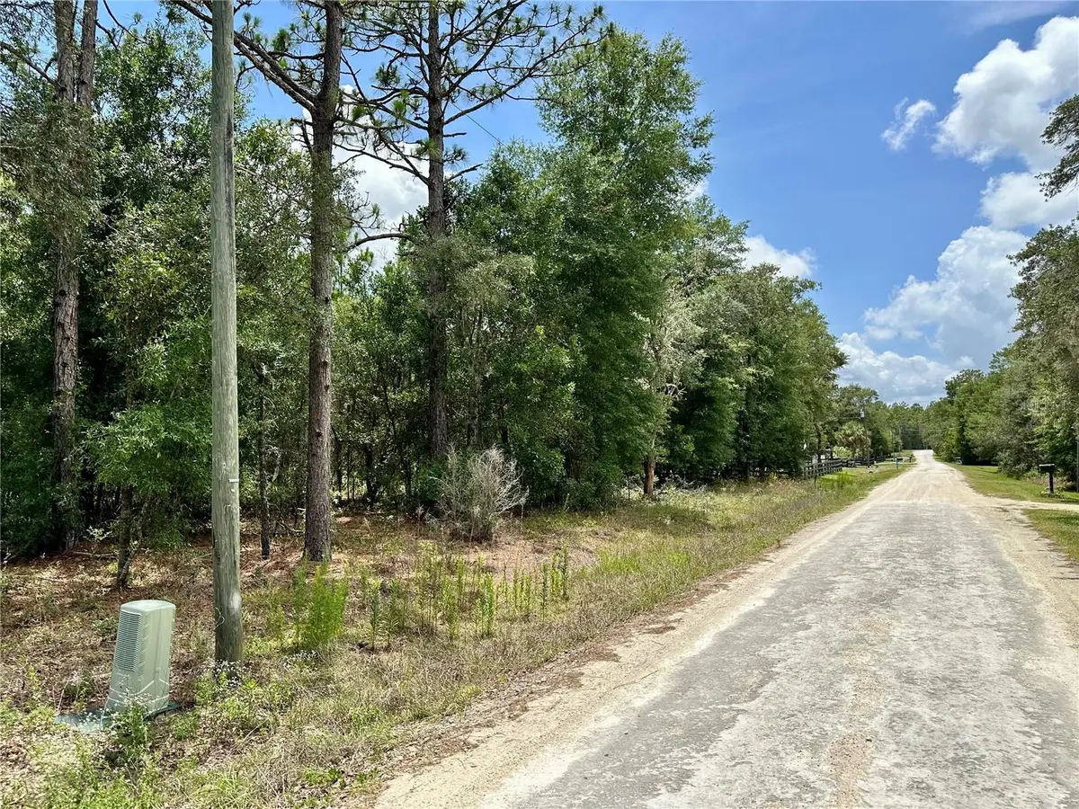 00 SW 98th Street, Dunnellon, FL 34432 - #1