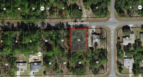 686 W Hummingbird Drive, CITRUS SPRINGS, FL 34434