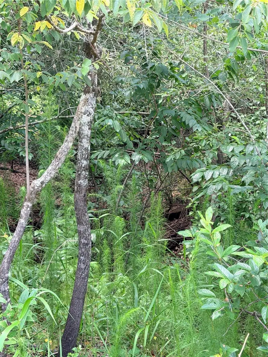 LOT 9 Hardstone Drive, Webster, FL 33597 - #3