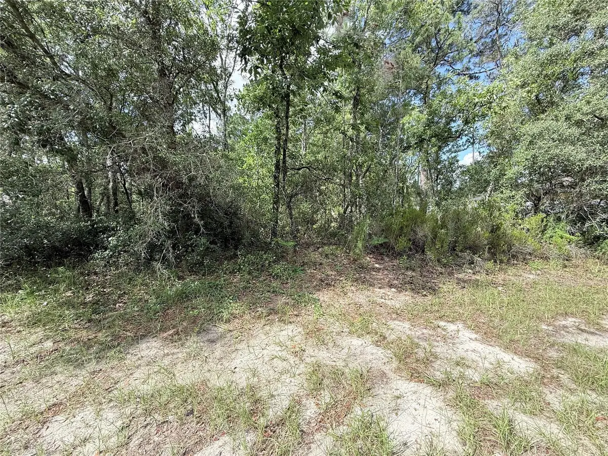 TBD SW 65th Avenue Road, Ocala, FL 34473 - #1