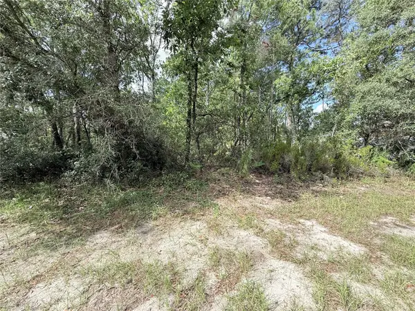TBD SW 65th Avenue Road, OCALA, FL 34473