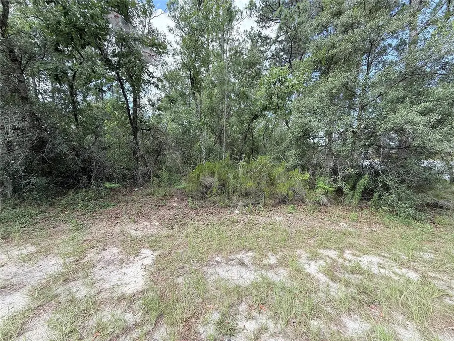 TBD SW 65th Avenue Road, Ocala, FL 34473 - #2