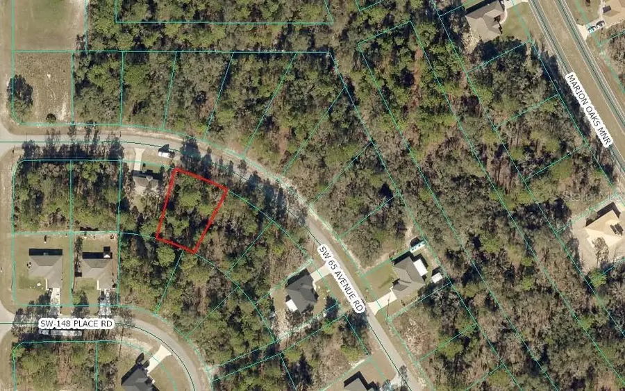 TBD SW 65th Avenue Road, Ocala, FL 34473 - #3