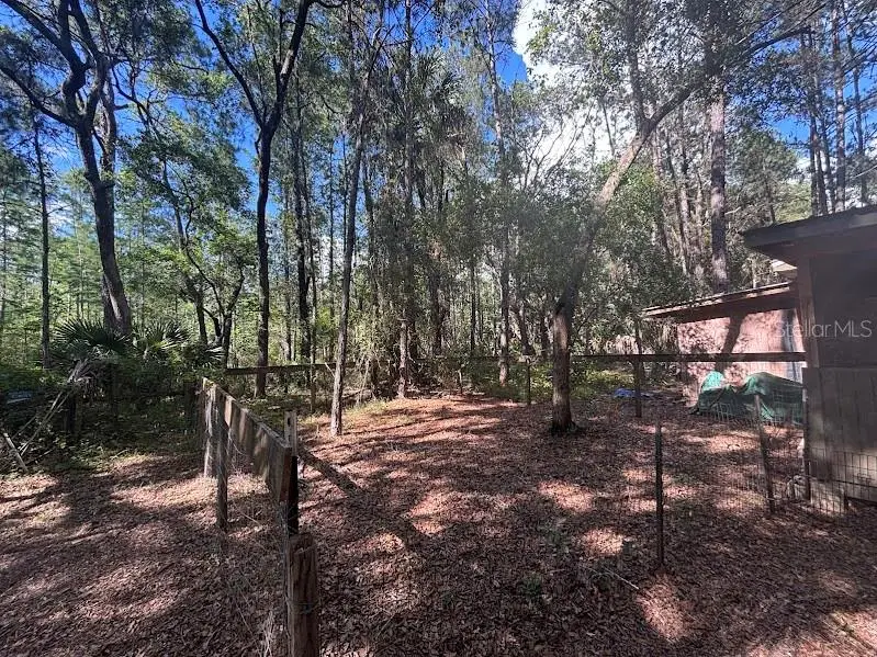 10415 NE 142nd Place, Fort McCoy Anthony, FL 32134 - #3