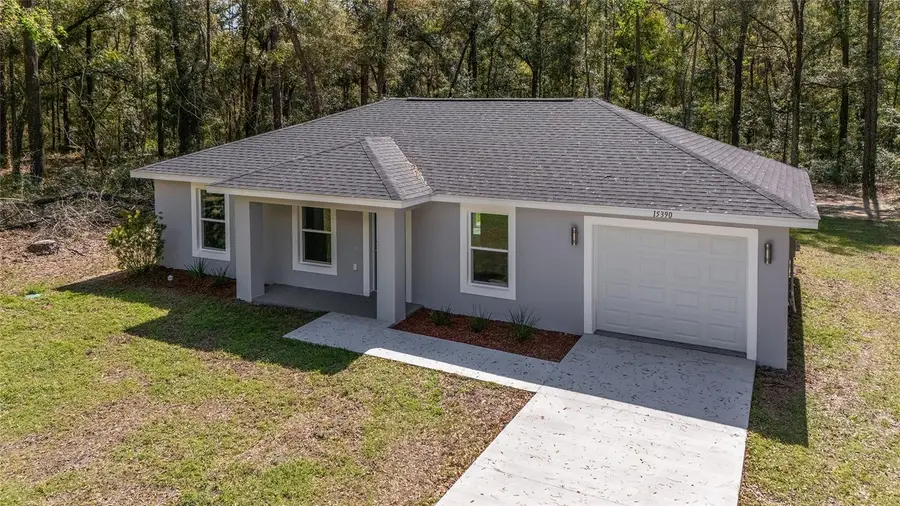 15664 SW 28th Lane, Ocala, FL 34481 - #3