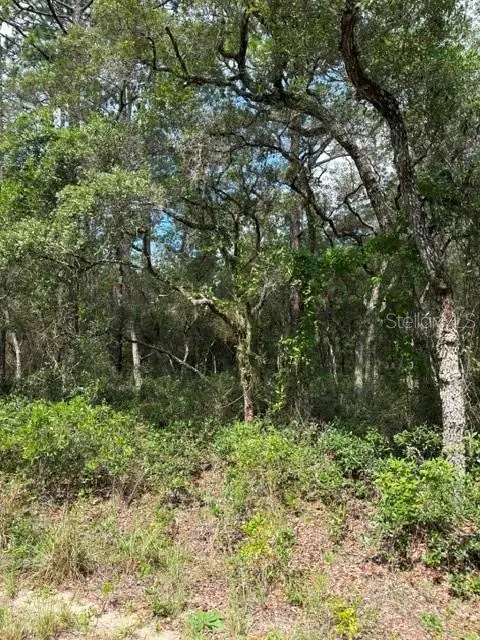 TBA SW Winding Hills Road, Dunnellon, FL 34431 - #1