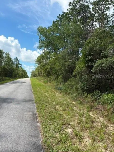 TBA SW Winding Hills Road, Dunnellon, FL 34431 - #3
