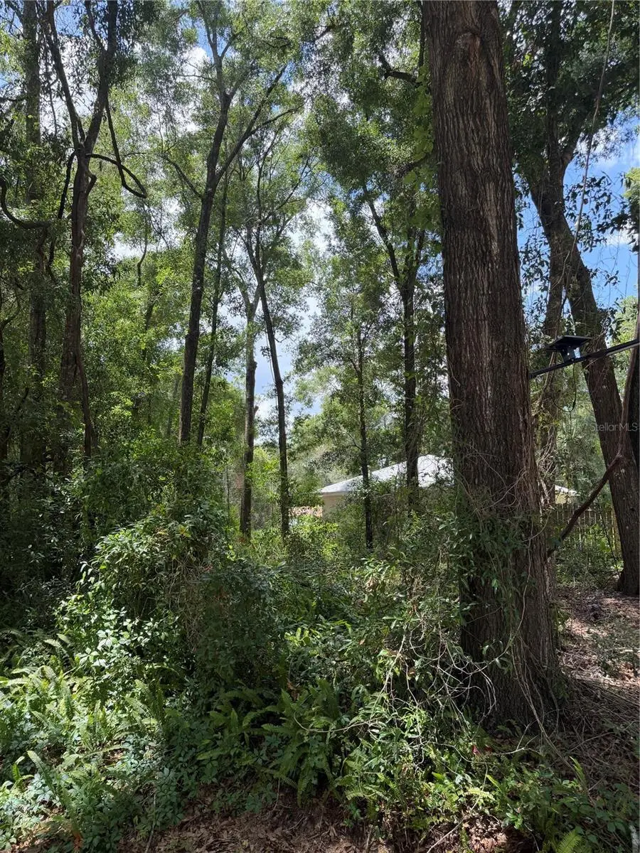 TBD SW 76th Avenue, Ocala, FL 34476 - #1