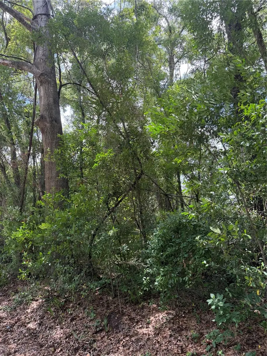 TBD SW 76th Avenue, Ocala, FL 34476 - #3