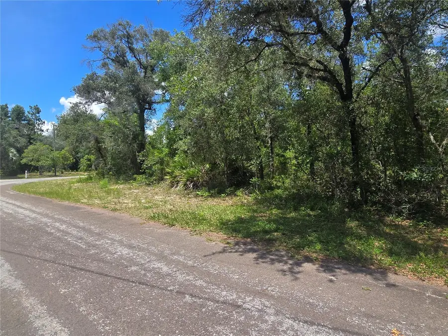 8365 N Ibsen Drive, Citrus Springs, FL 34433 - #2