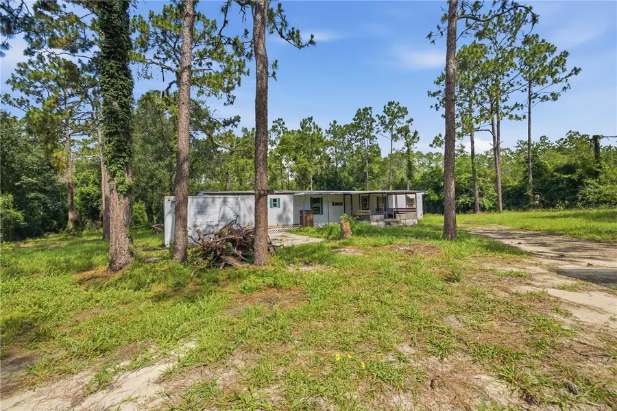 2290 SE 141st Avenue, Morriston, FL 32668 - #2