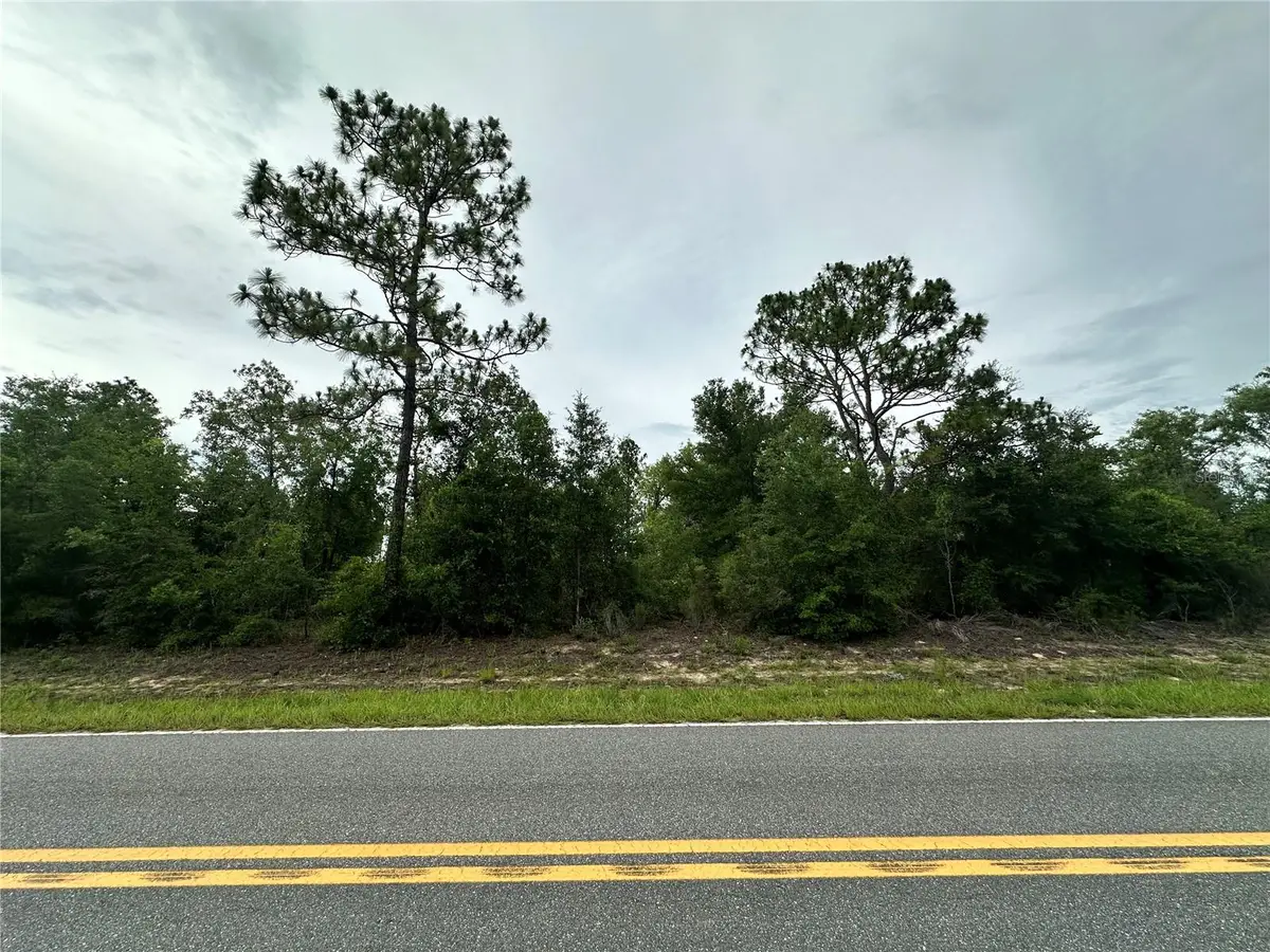 9191 NE 80th Street, Bronson, FL 32621 - #1