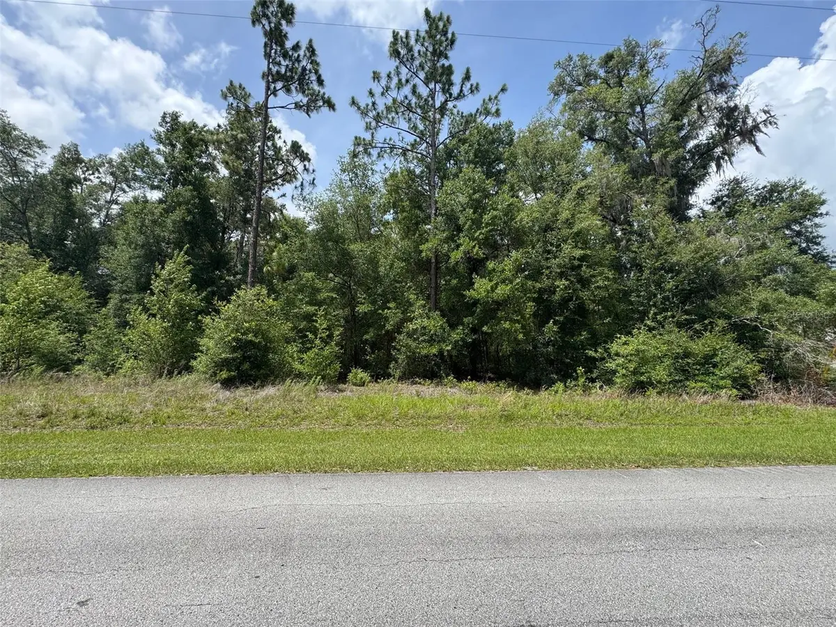 TBD SW 59th Lane, Dunnellon, FL 34431 - #1