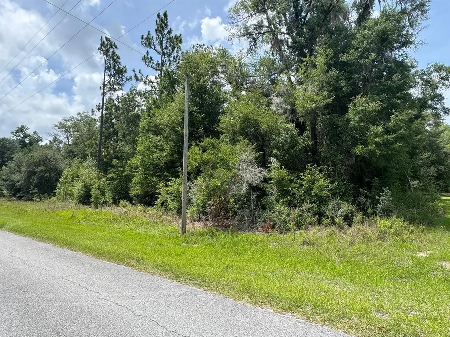 TBD SW 59th Lane, Dunnellon, FL 34431 - #2