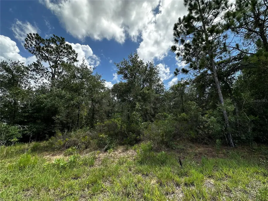 12930 NE 15th Street, Williston, FL 32696 - #3