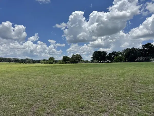 NW 131 Street, REDDICK, FL 32686