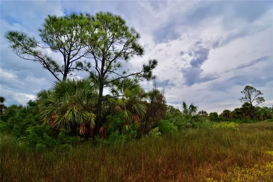 00 Lots 18,19 Adams Beach Road, Perry, FL 32348 - #2