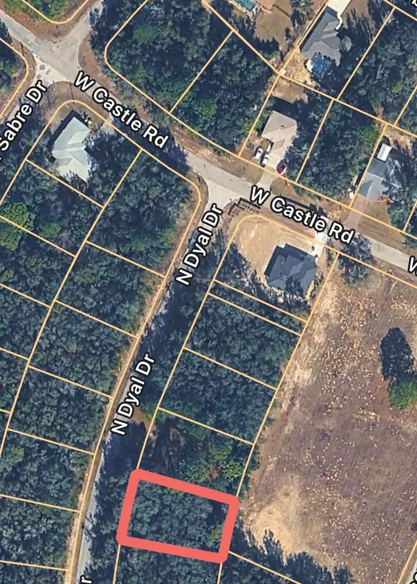 10161 N Dyal Drive, Citrus Springs, FL 34434 - #2