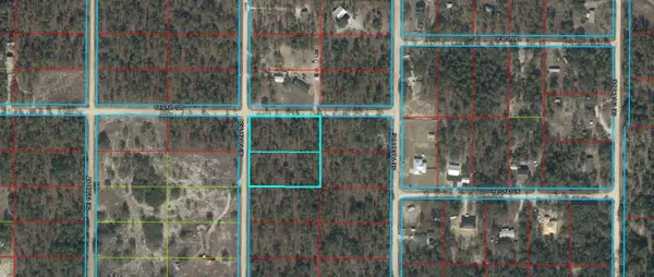 231 SE 146th Terrace, WILLISTON, FL 32696