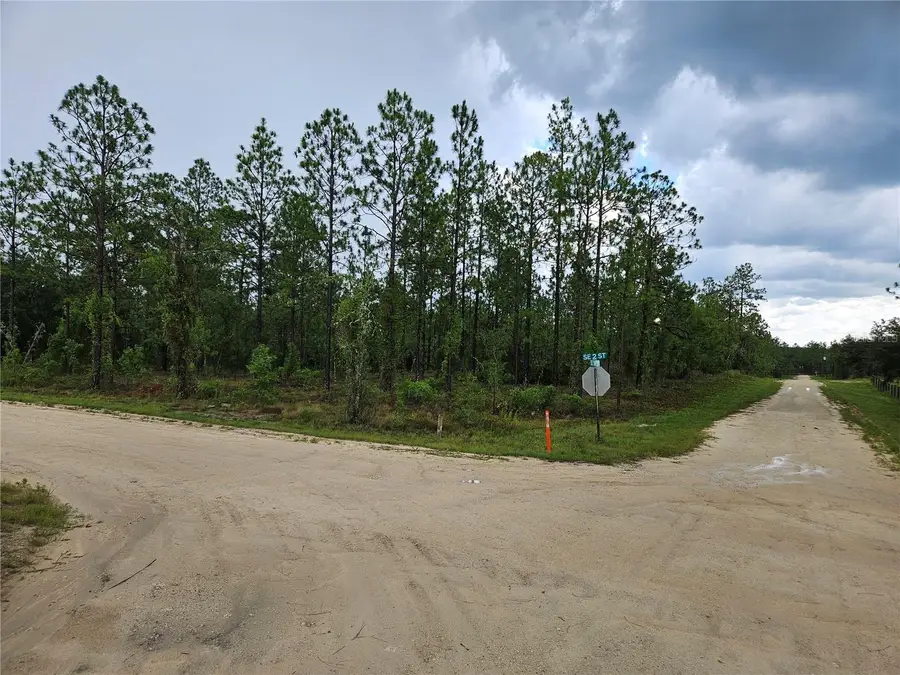 231 SE 146th Terrace, Williston, FL 32696 - #2