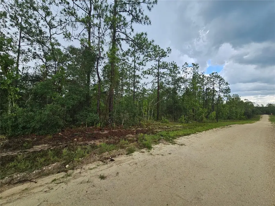 231 SE 146th Terrace, Williston, FL 32696 - #3