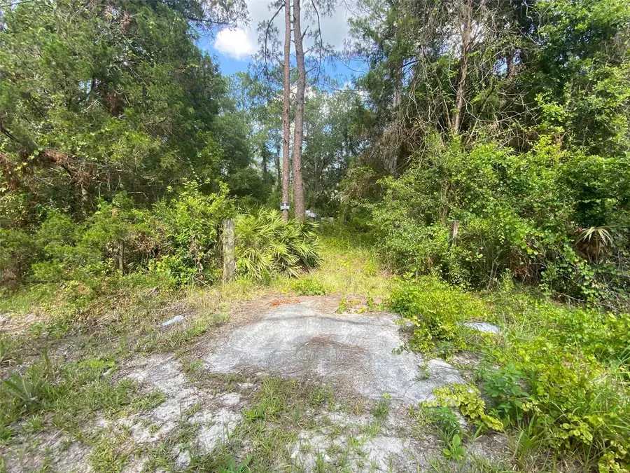 13701 NE 66th Avenue, Citra, FL 32113 - #2