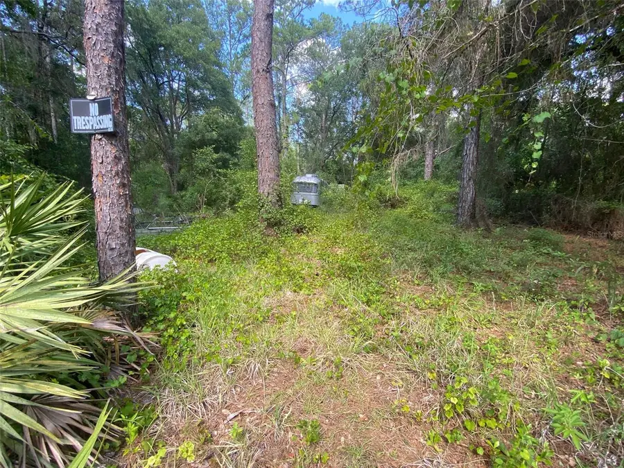 13701 NE 66th Avenue, Citra, FL 32113 - #3