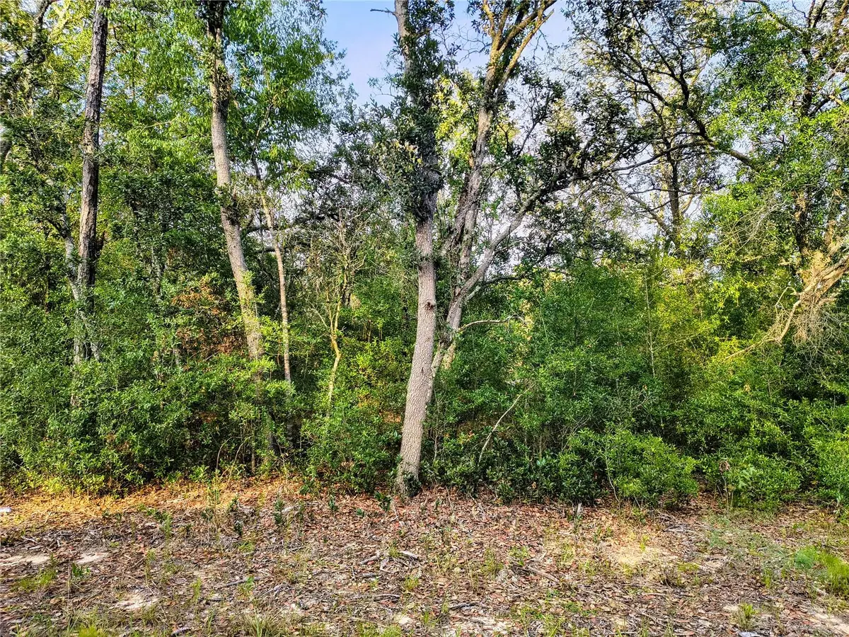 8821 NE 97th Court, Bronson, FL 32621 - #1