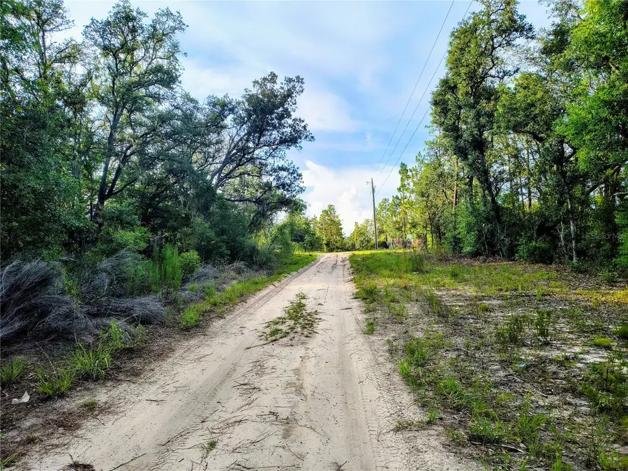 8821 NE 97th Court, Bronson, FL 32621 - #3