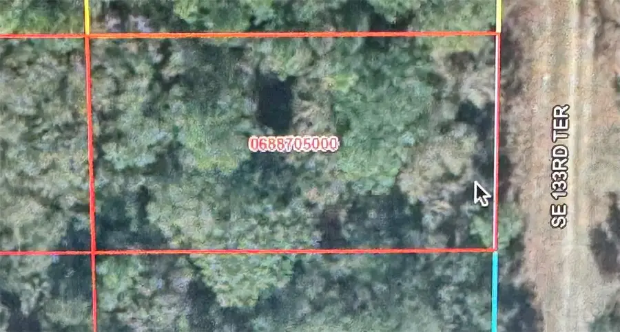 Se 133rd Terrace, Dunnellon, FL 34432 - #2