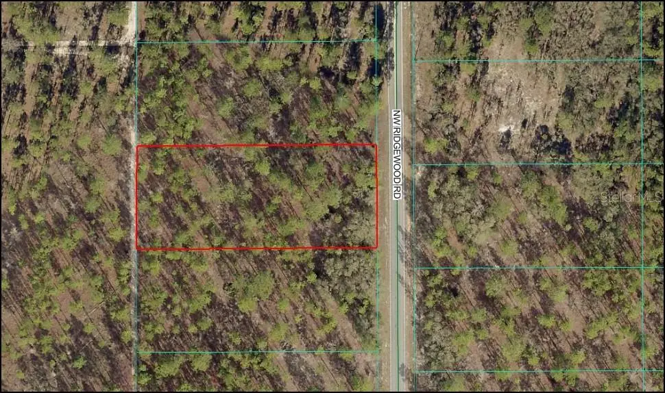 NW Ridgewood Road, Dunnellon, FL 34431 - #1